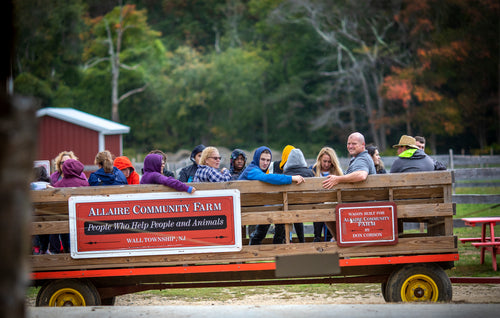 Carriage Riding Lesson